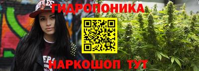 MDMA Можга