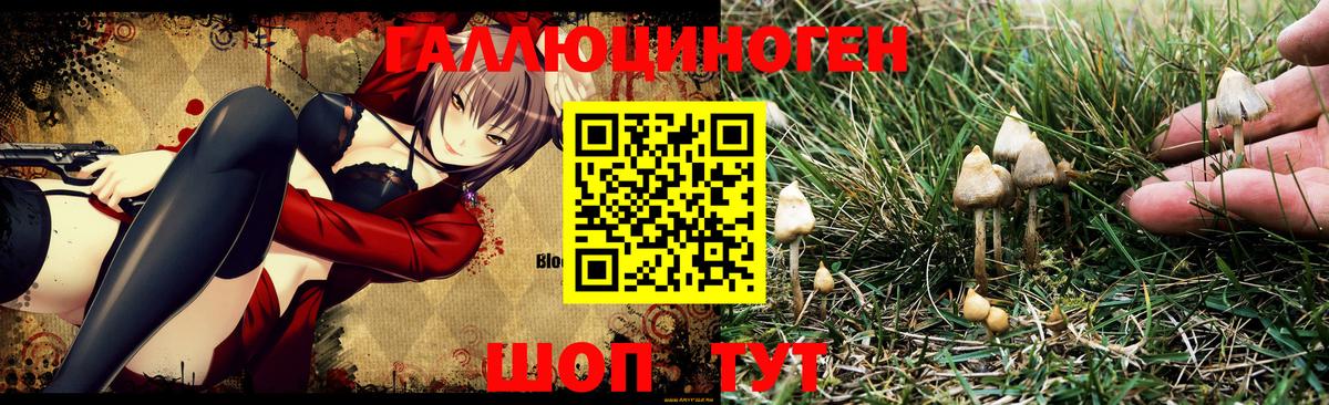 Ялта  Галлюциногенные грибы Psilocybine cubensis  Вход с VPN 